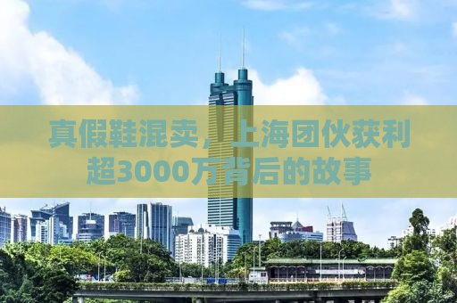 真假鞋混卖，上海团伙获利超3000万背后的故事