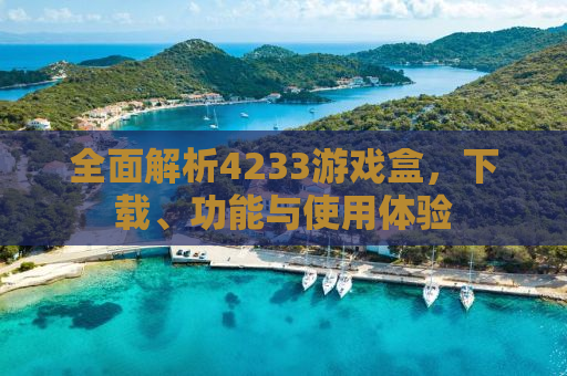 全面解析4233游戏盒，下载、功能与使用体验