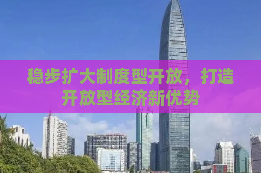 稳步扩大制度型开放，打造开放型经济新优势