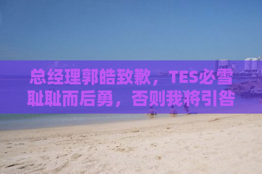 总经理郭皓致歉，TES必雪耻耻而后勇，否则我将引咎辞职