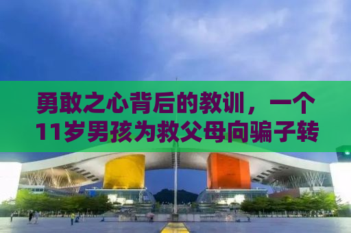 勇敢之心背后的教训，一个11岁男孩为救父母向骗子转账77次的警示故事