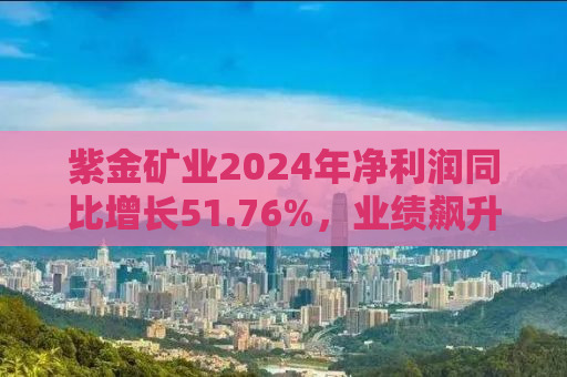 紫金矿业2024年净利润同比增长51.76%，业绩飙升背后的驱动力与未来展望