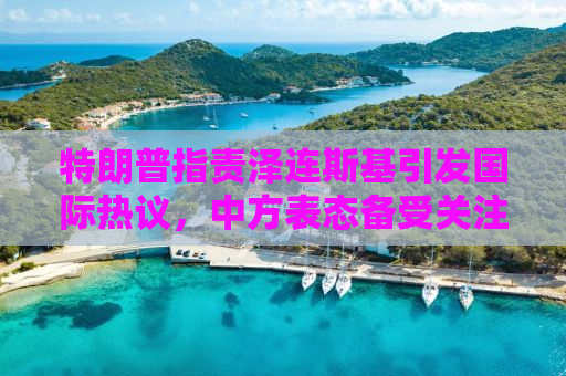 特朗普指责泽连斯基引发国际热议，中方表态备受关注