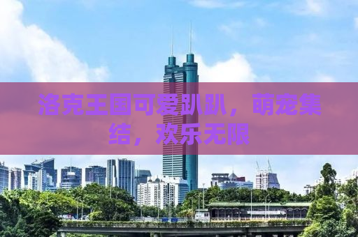洛克王国可爱趴趴，萌宠集结，欢乐无限