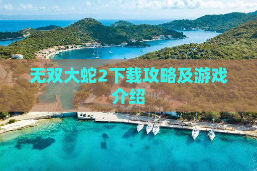 无双大蛇2下载攻略及游戏介绍