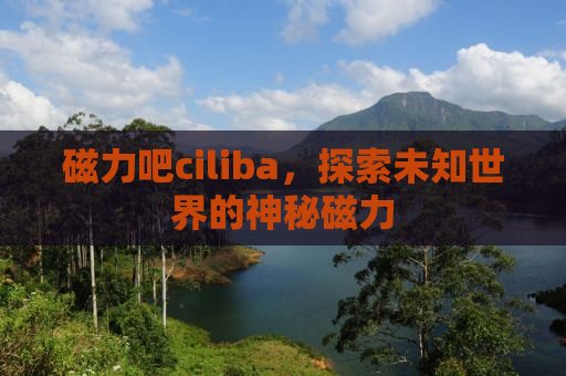 磁力吧ciliba，探索未知世界的神秘磁力